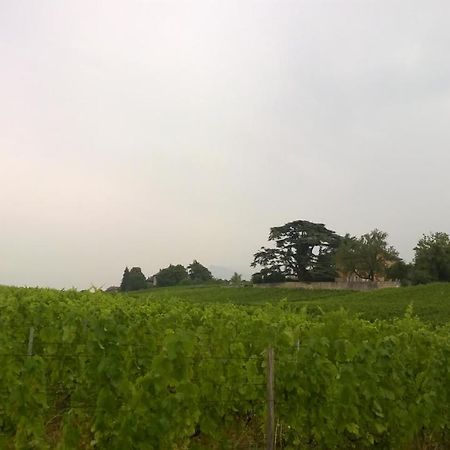 Chateau La Violette Les Marches Exterior photo